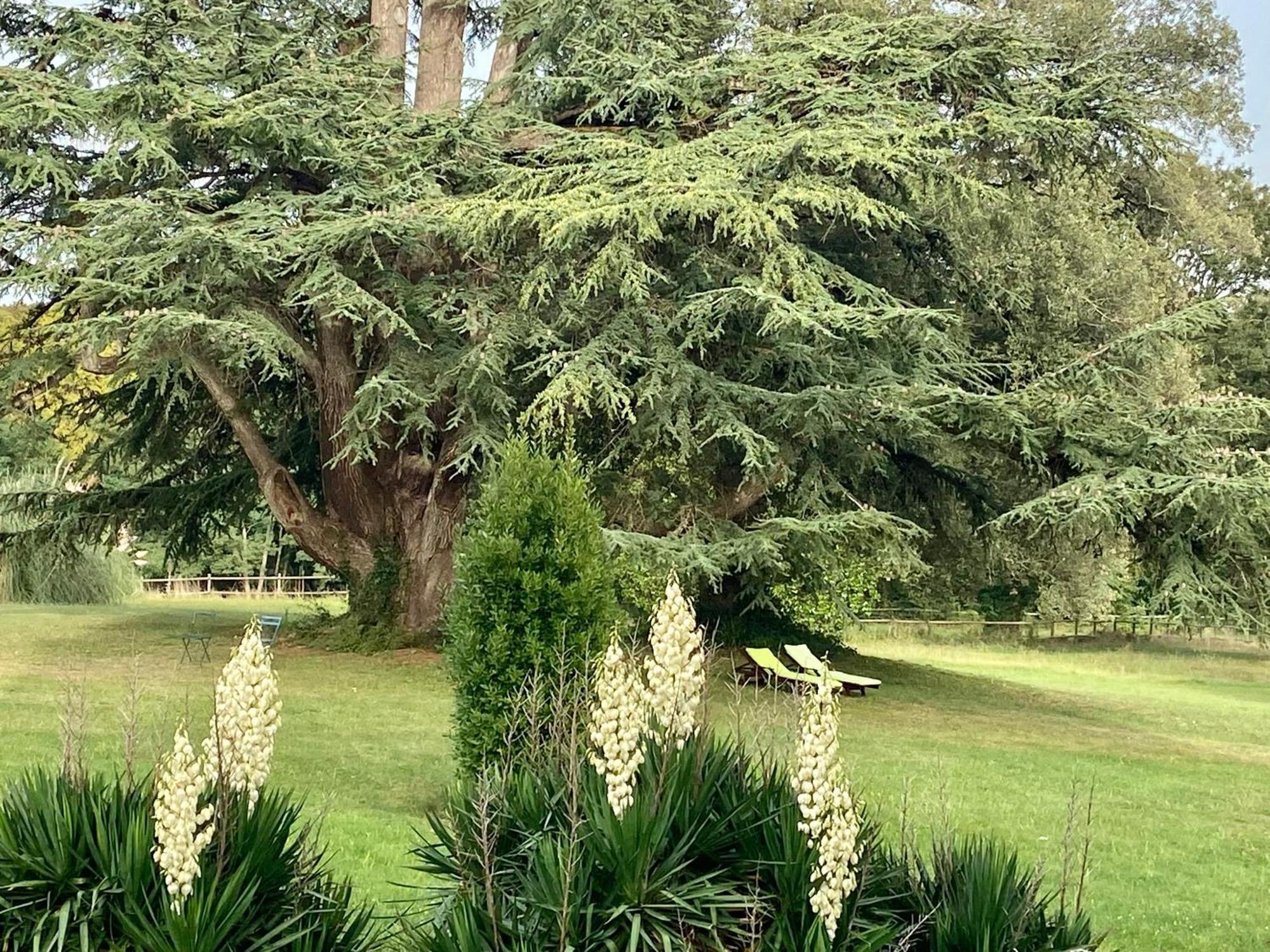 Chateau La Bainerie Tierce Kültér fotó
